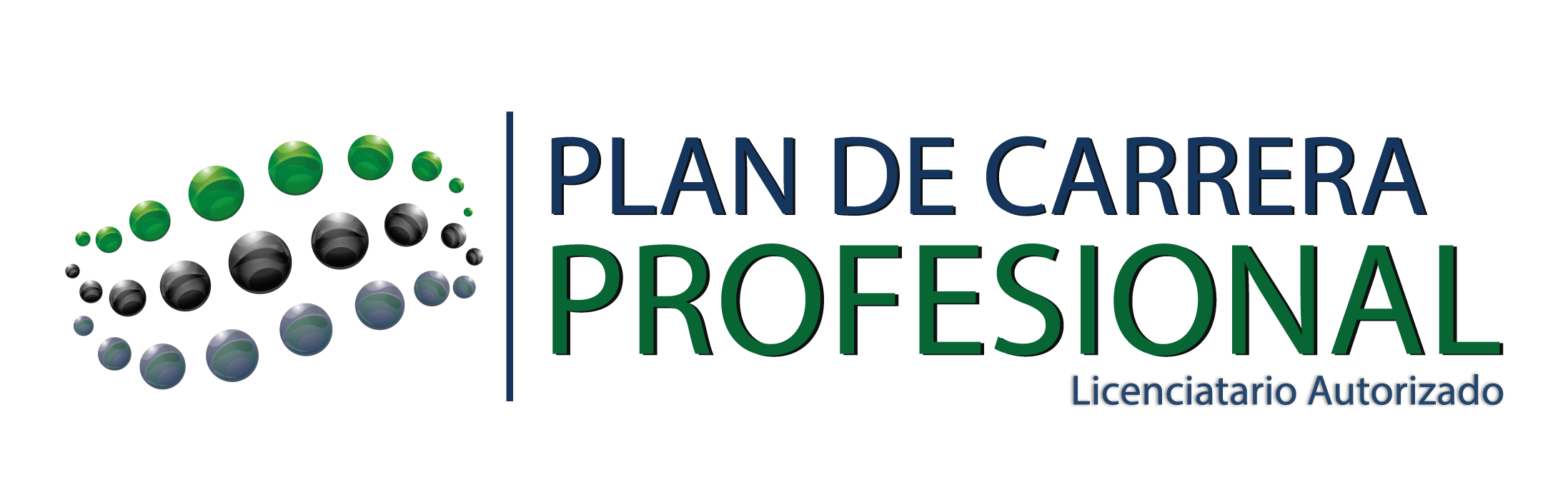 Plan de Carrera Profesional